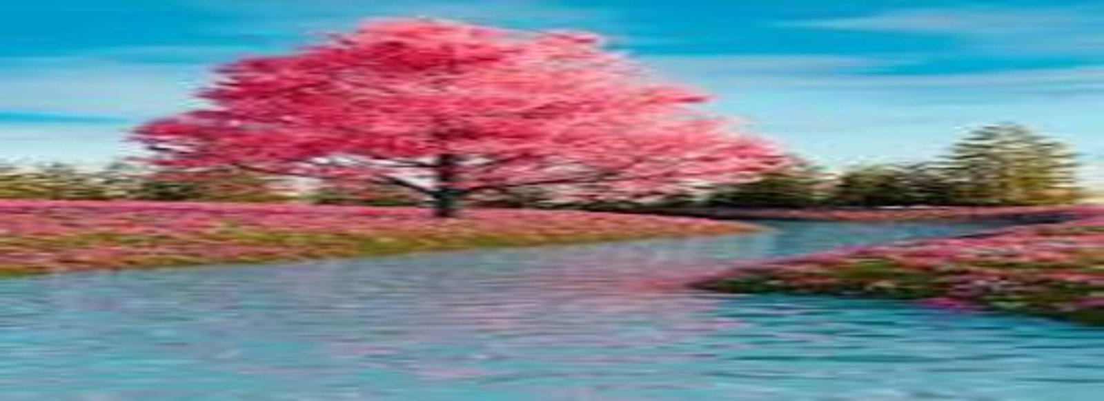 “Colors of World” by SR Dominator