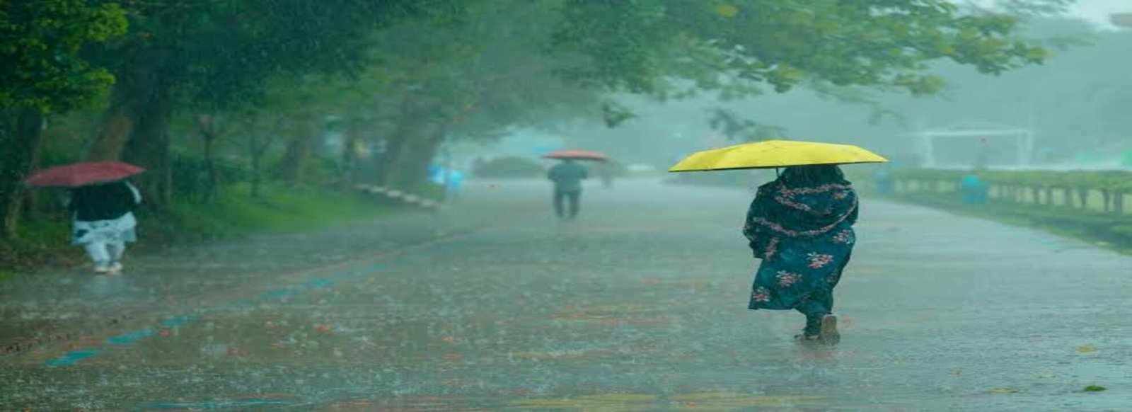 “Rainy Season”